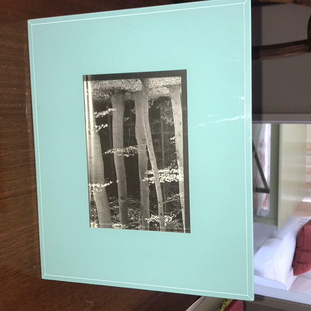 Frame - Picture 2 of 3